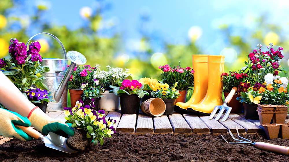 Essential Garden Tools For The Avid Gardener