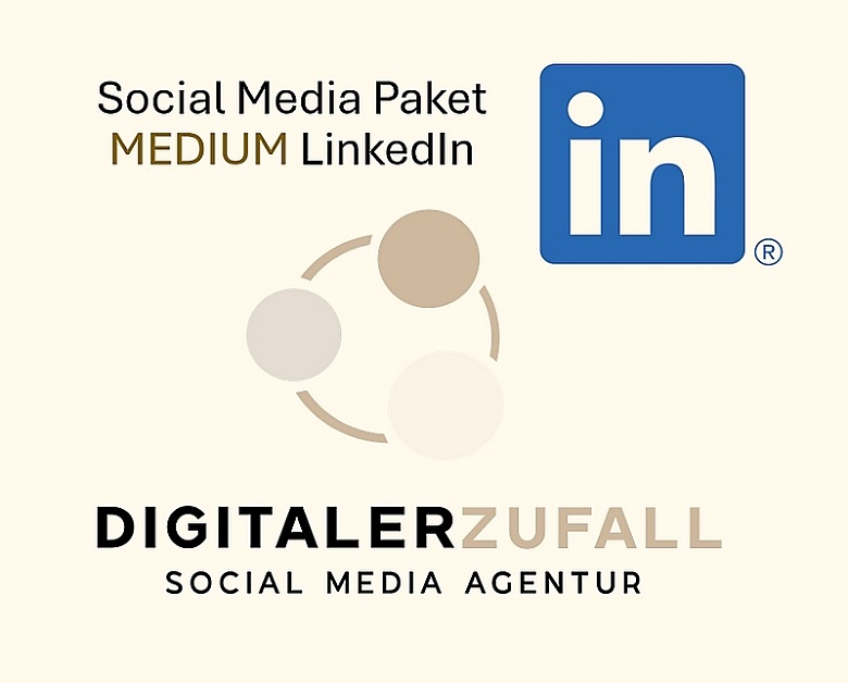 Social Media Paket MEDIUM LinkedIn