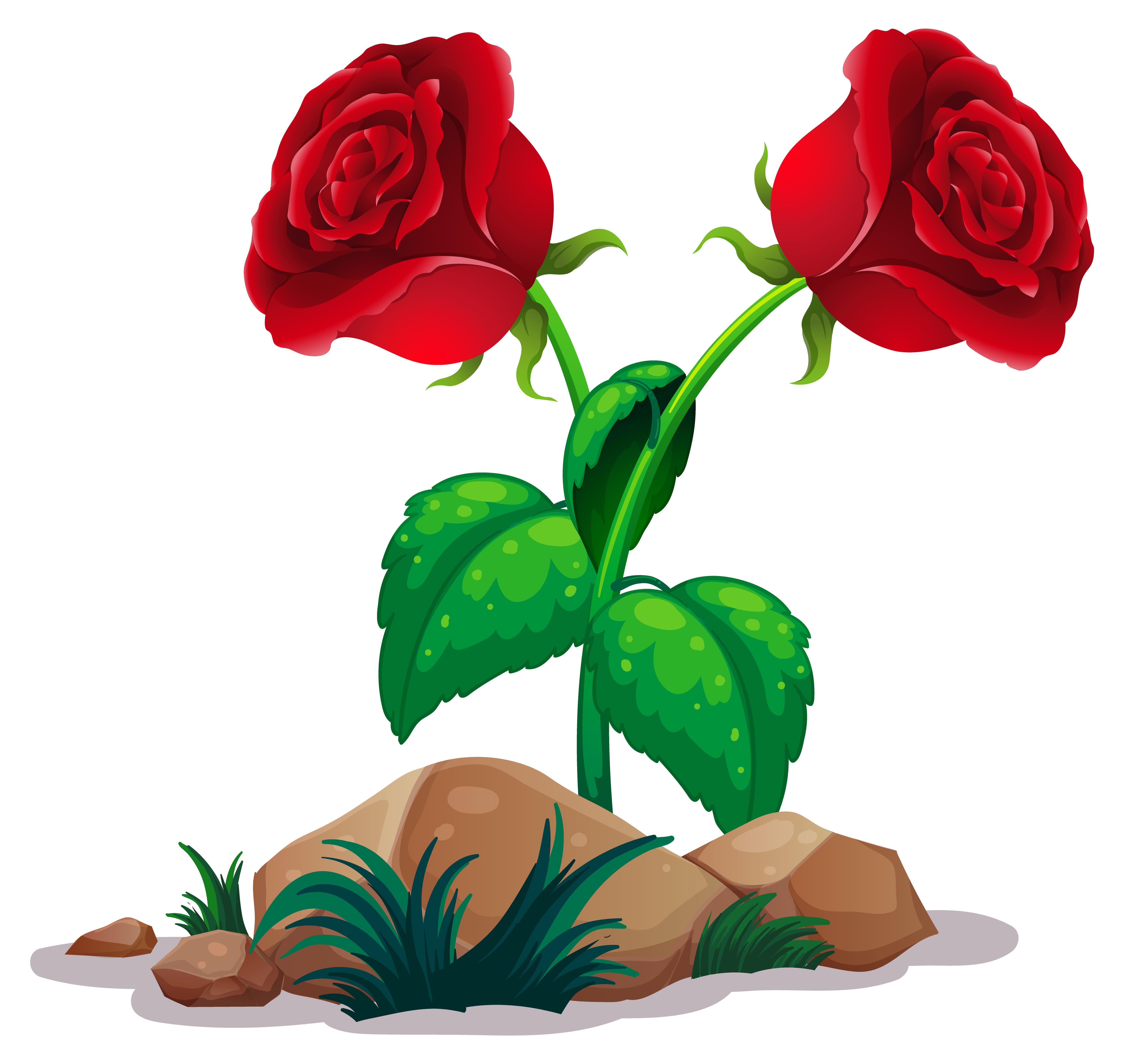 Eine Geschichte zum Nachdenken: Das Grasbüschel und die Rose
