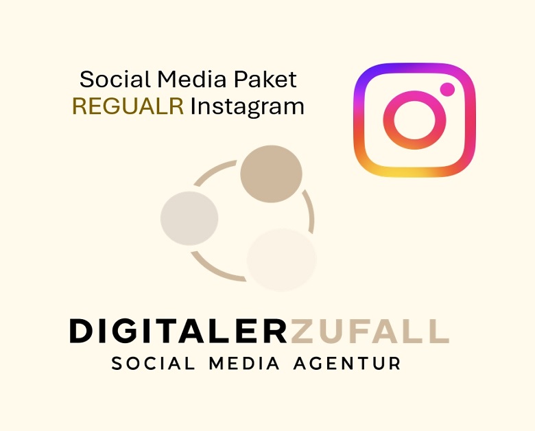 Social Media Paket REGULAR Instagram