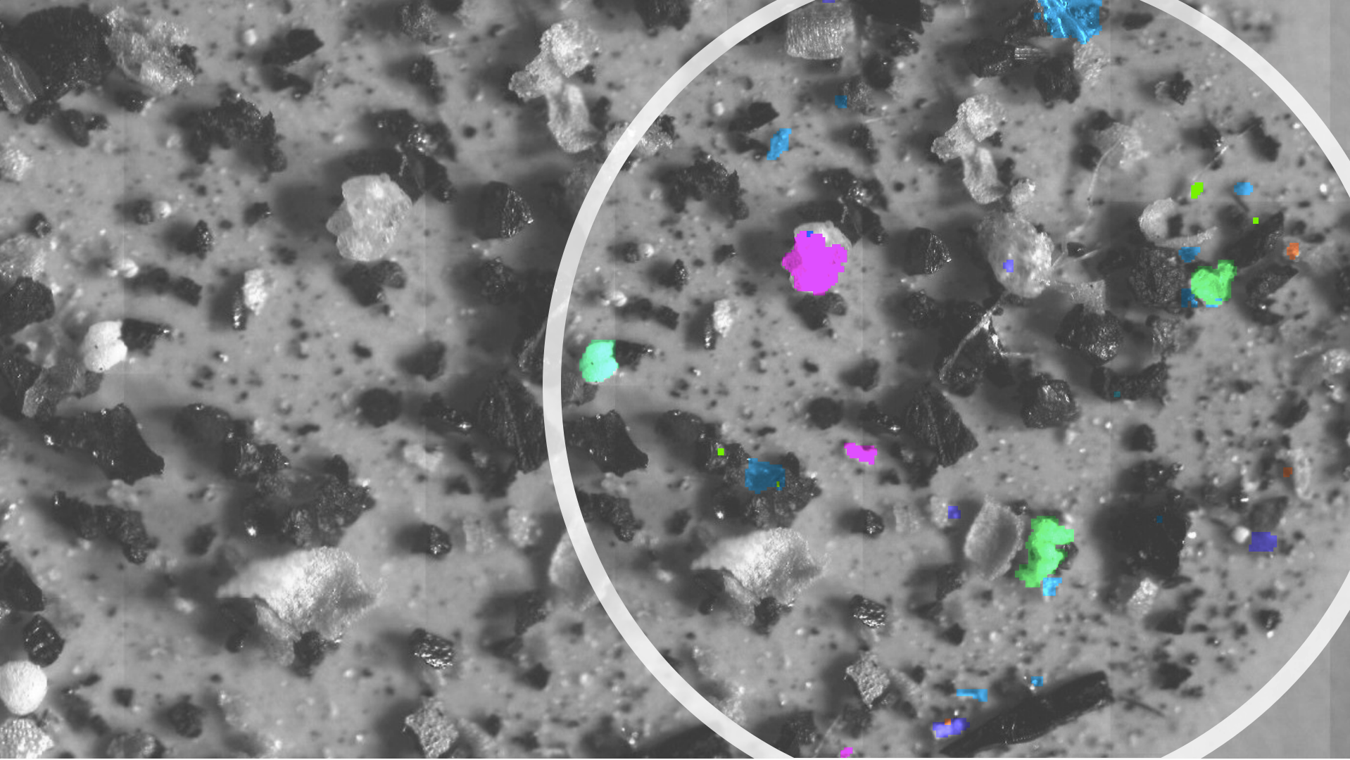 "Ich seh, ich seh, was du nicht siehst: Mikroplastik im Mikroskop" - diePresse