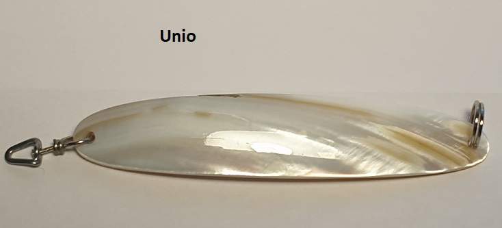 Unio