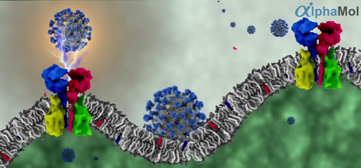 Innovative Biotechnology for membrane protein are essential for new drug discovery.