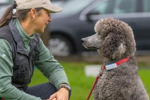 Hundeschule Leinenführigkeit