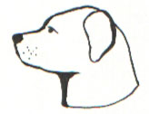 IDEAL Ledermaulkorb Rottweiler - für Hunde mit mittelkurzer Schnauze