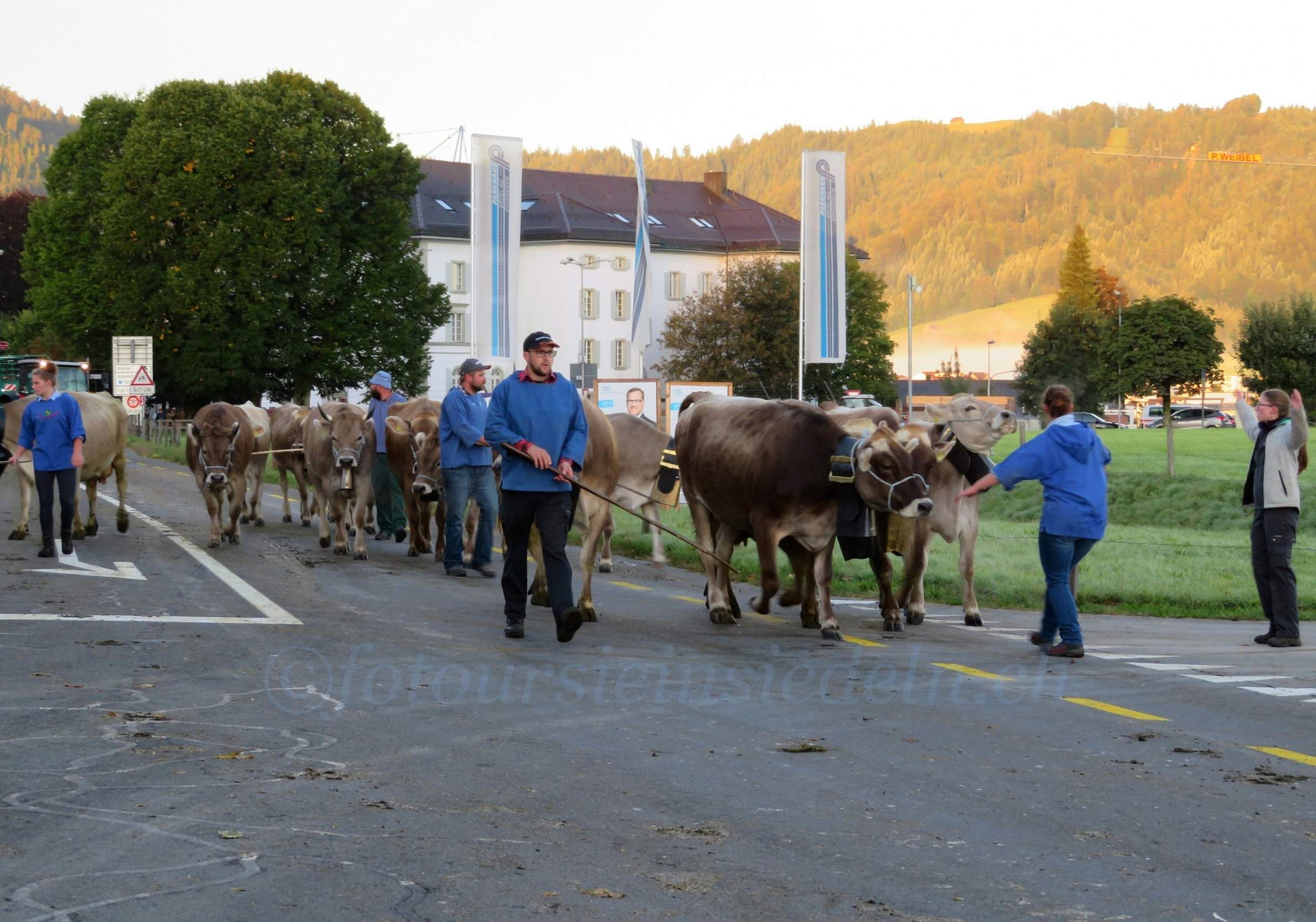 Einsiedler Viehschau 2019 056