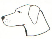 IDEAL Drahtmaulkorb Dachs - für Hunde mit langer Schnauze