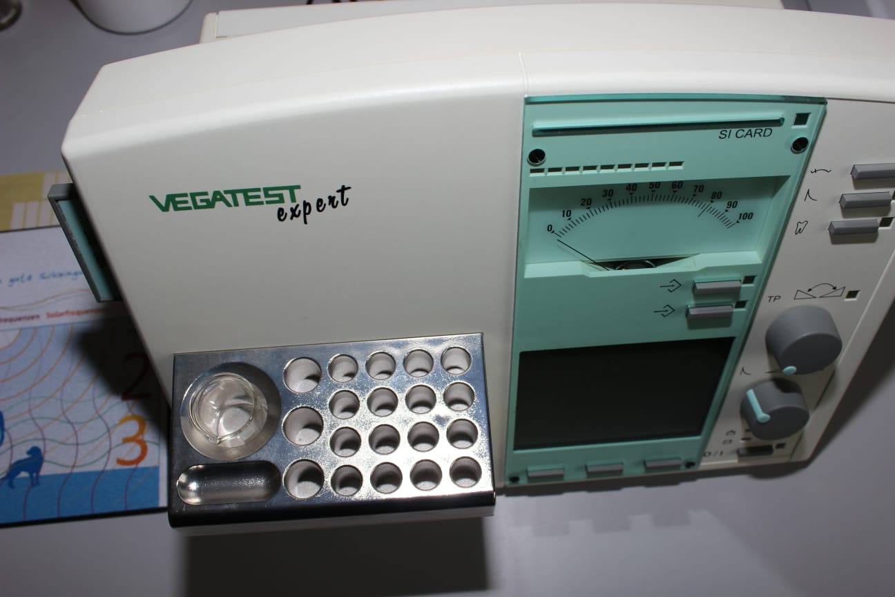 Vega Test Expert Baujahr 2000