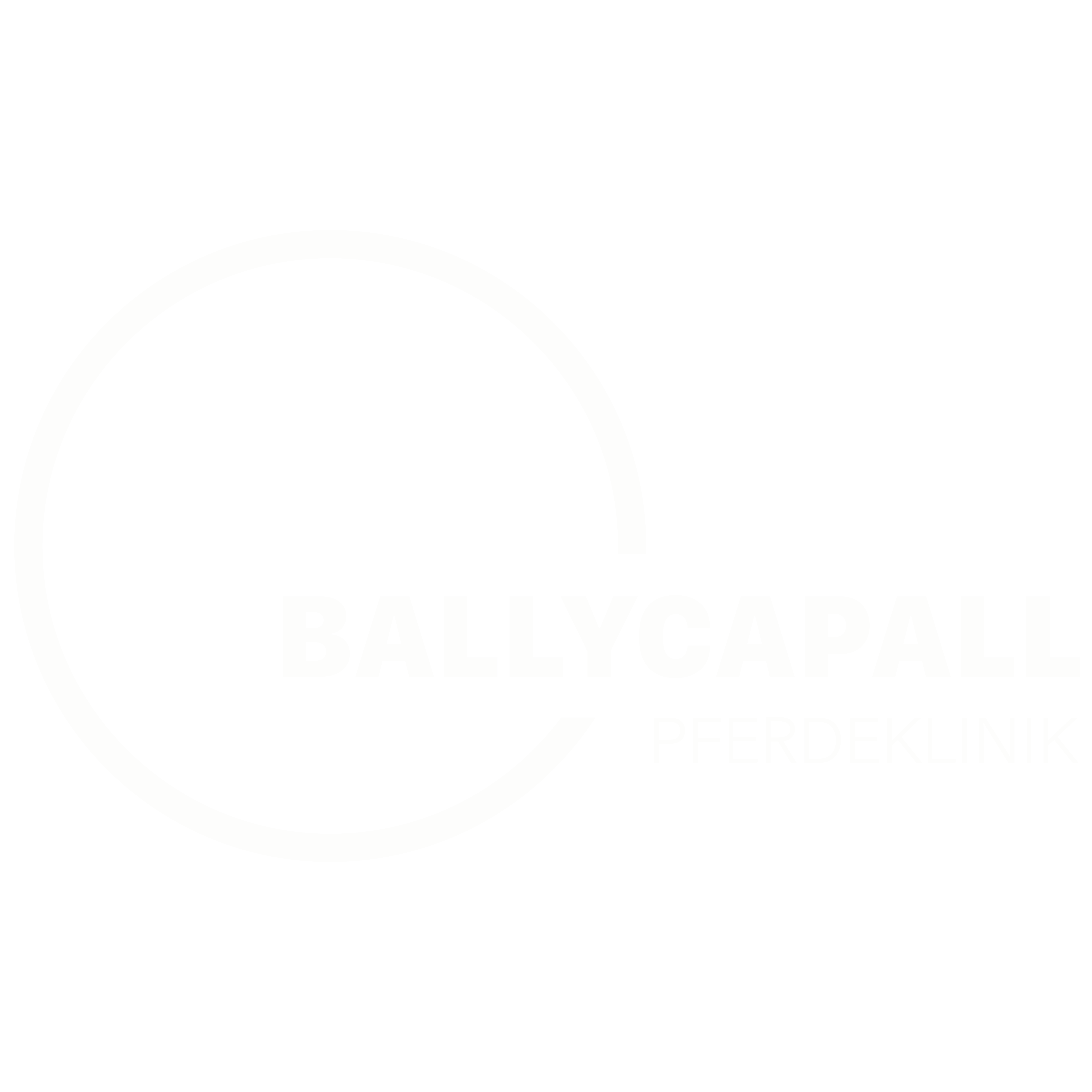 BALLYCAPALL PFERDEPRAXIS
