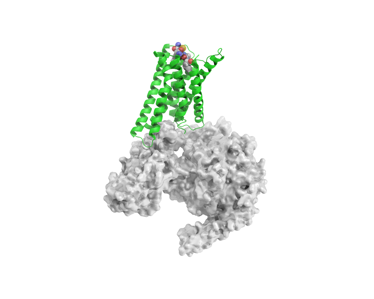 AlphaMol Science made breakthrough in orphan GPCR new drug discovery