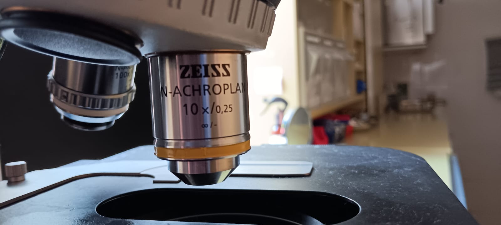 Zeiss Axioscope 105 S Neukauf 2010 mit Kamera