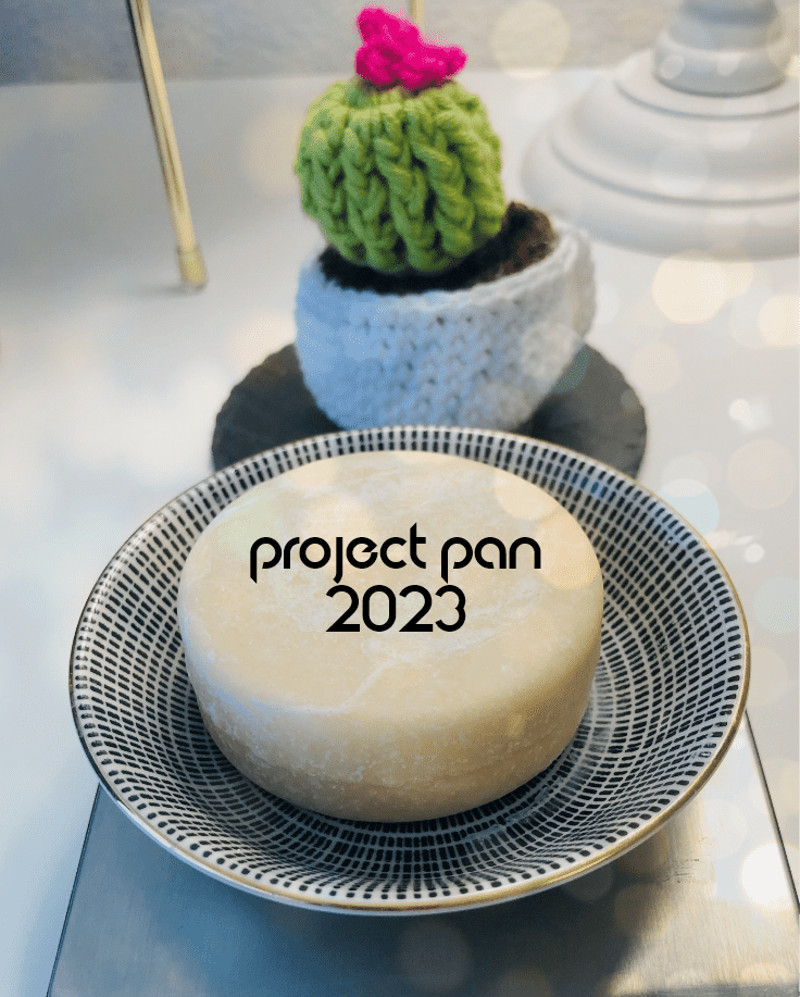 Project Pan Update + Beauty Empties Jänner 2023