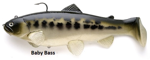 Castaic Swim-Bait-Trout sinking 25 cm reloaded 2.0