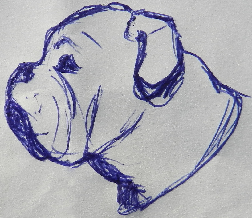 IDEAL Ledermaulkorb Engl. Bulldog - für Hunde mit sehr kurzer Schnauze