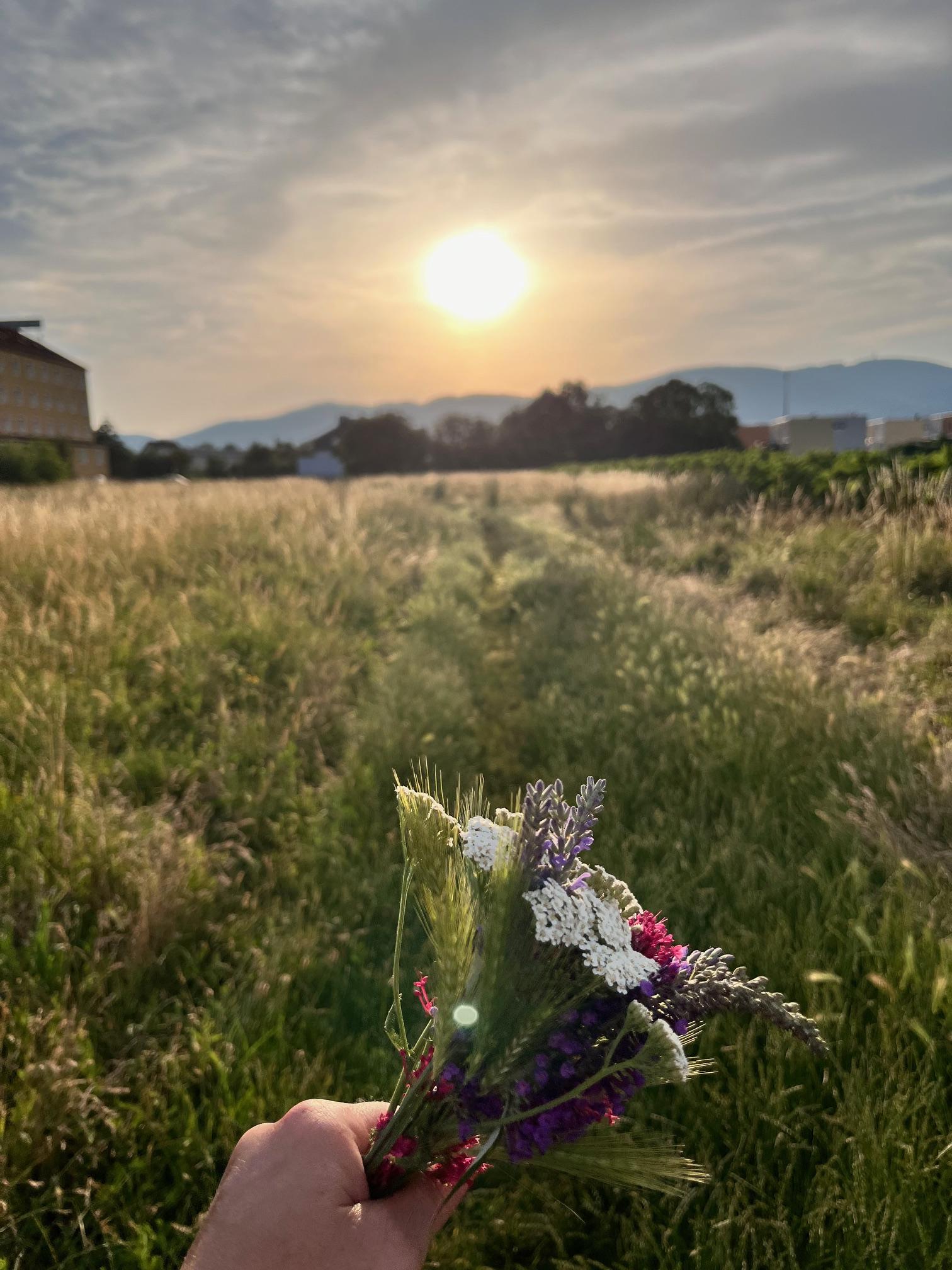 Sommersonnenwende2jpg