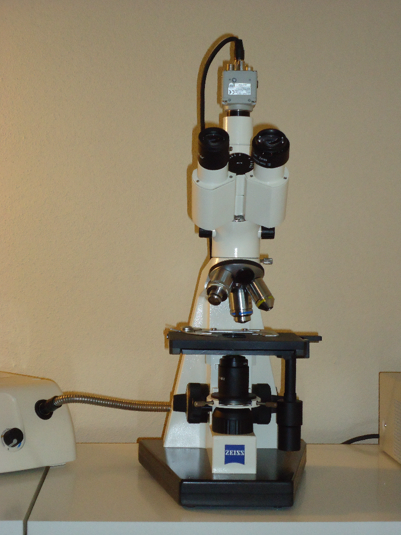 !!! VERKAUFT !!! Dunkelfeldmikroskop Zeiss Axiostar plus, Baujahr 03-2004