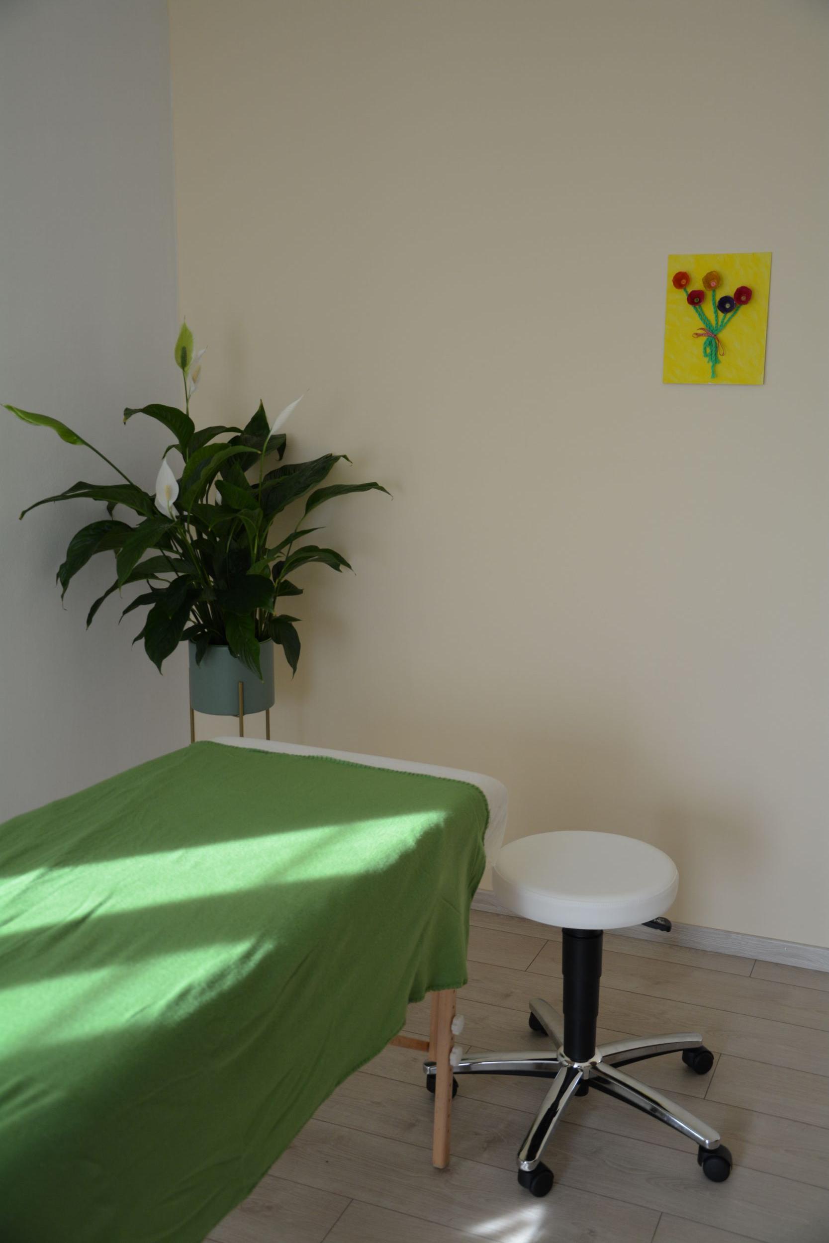 Praix Eschenau Behandlungsraum mit grünen Bett und grünen Pflanze
