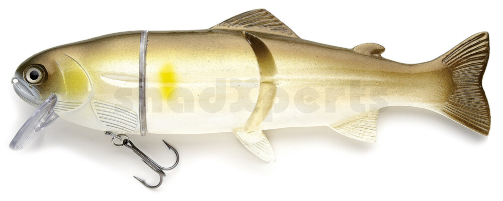 Castaic Real Bait 20 cm floating