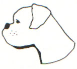 IDEAL Ledermaulkorb Boxer - für Hunde mit kurzer Schnauze