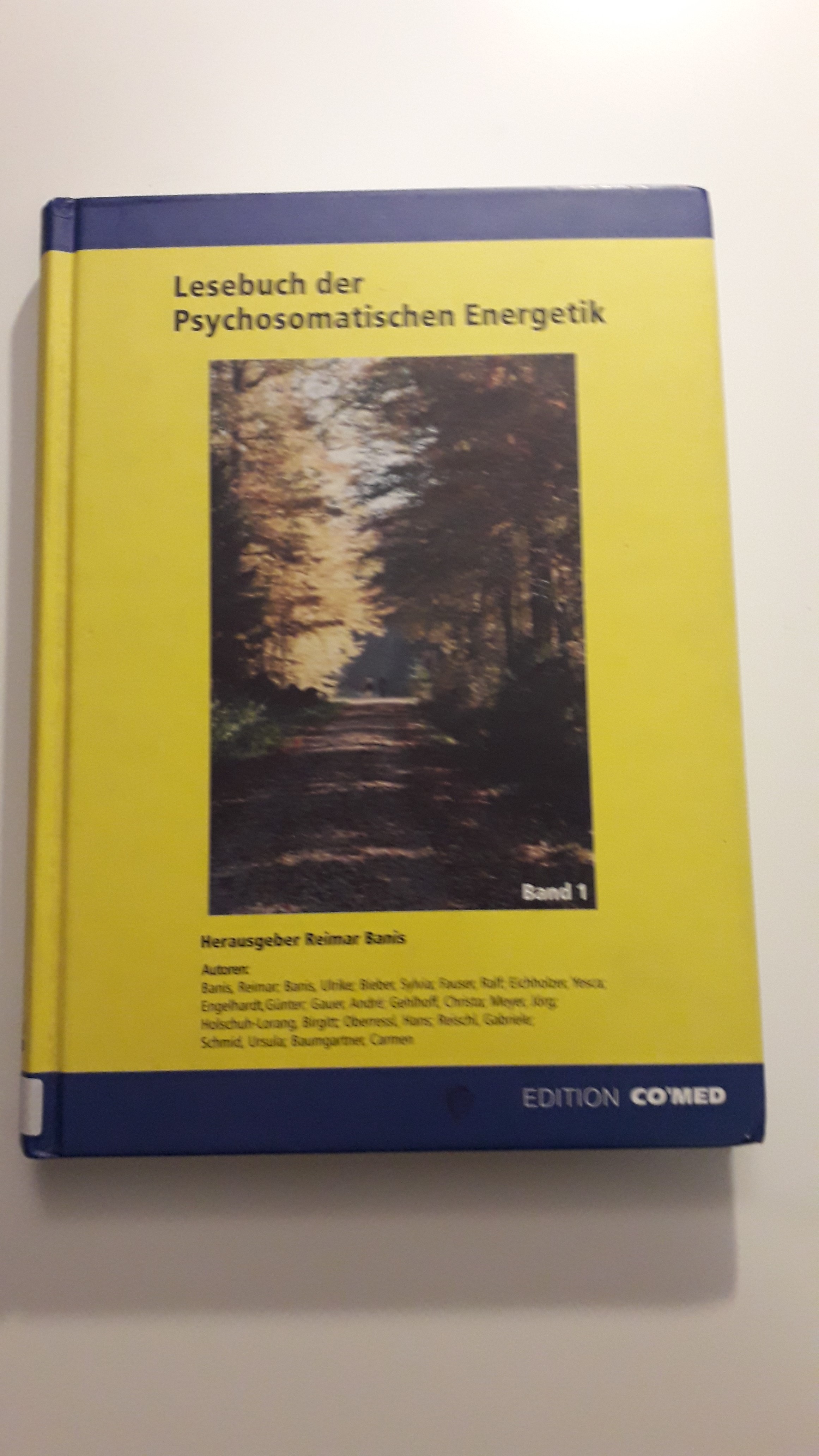 Buch: B771 Lesebuch der Psychosomatischen Energetik Band 1