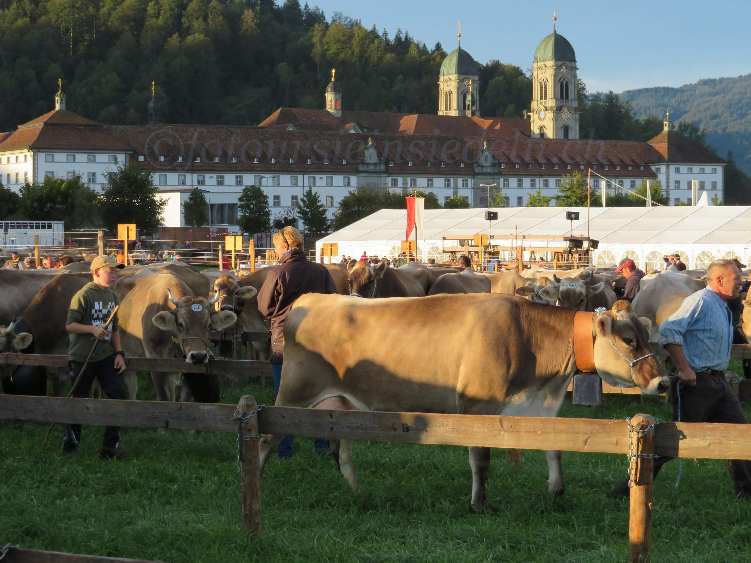 Einsiedler Viehschau 2019 108
