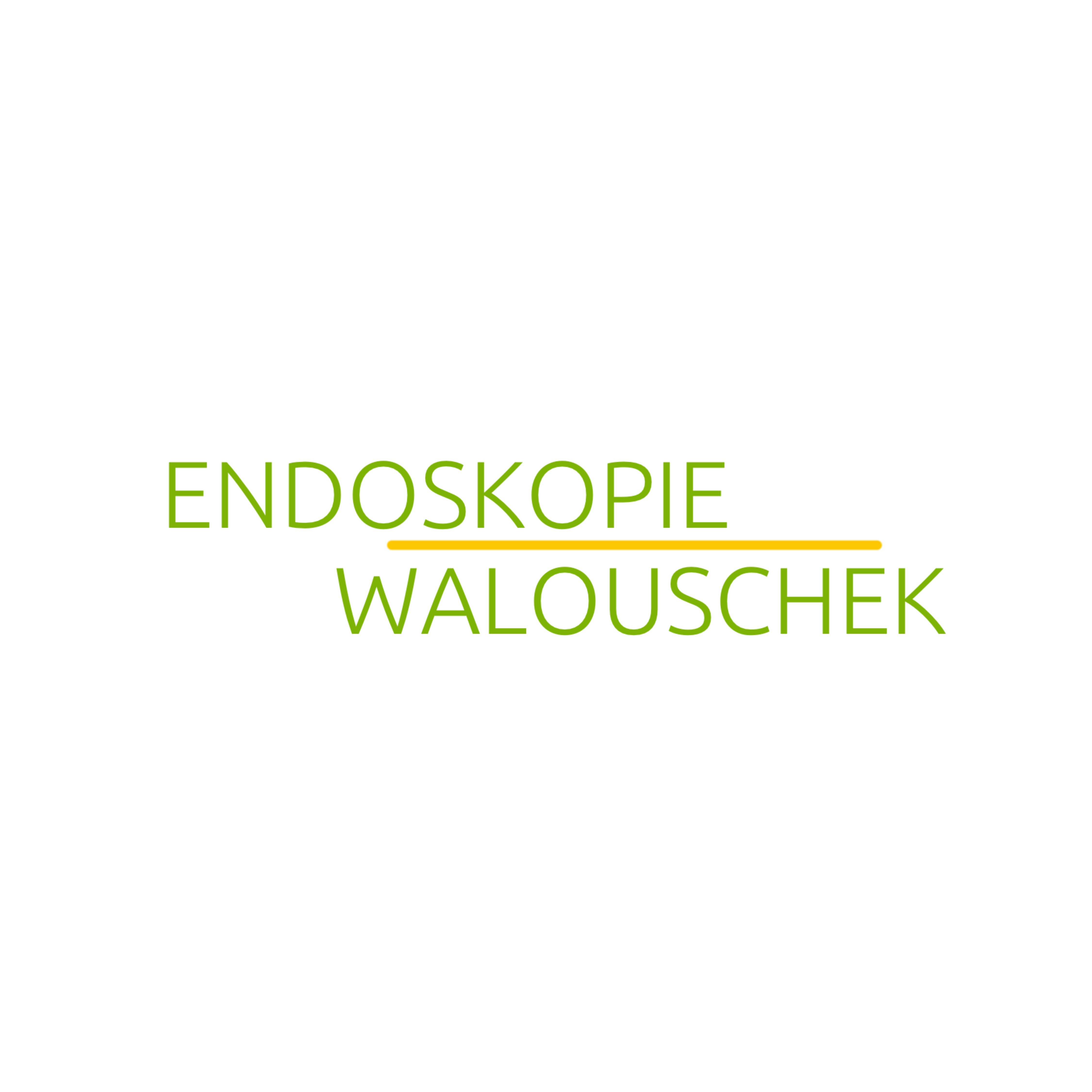 Endoskopie Walouschek 