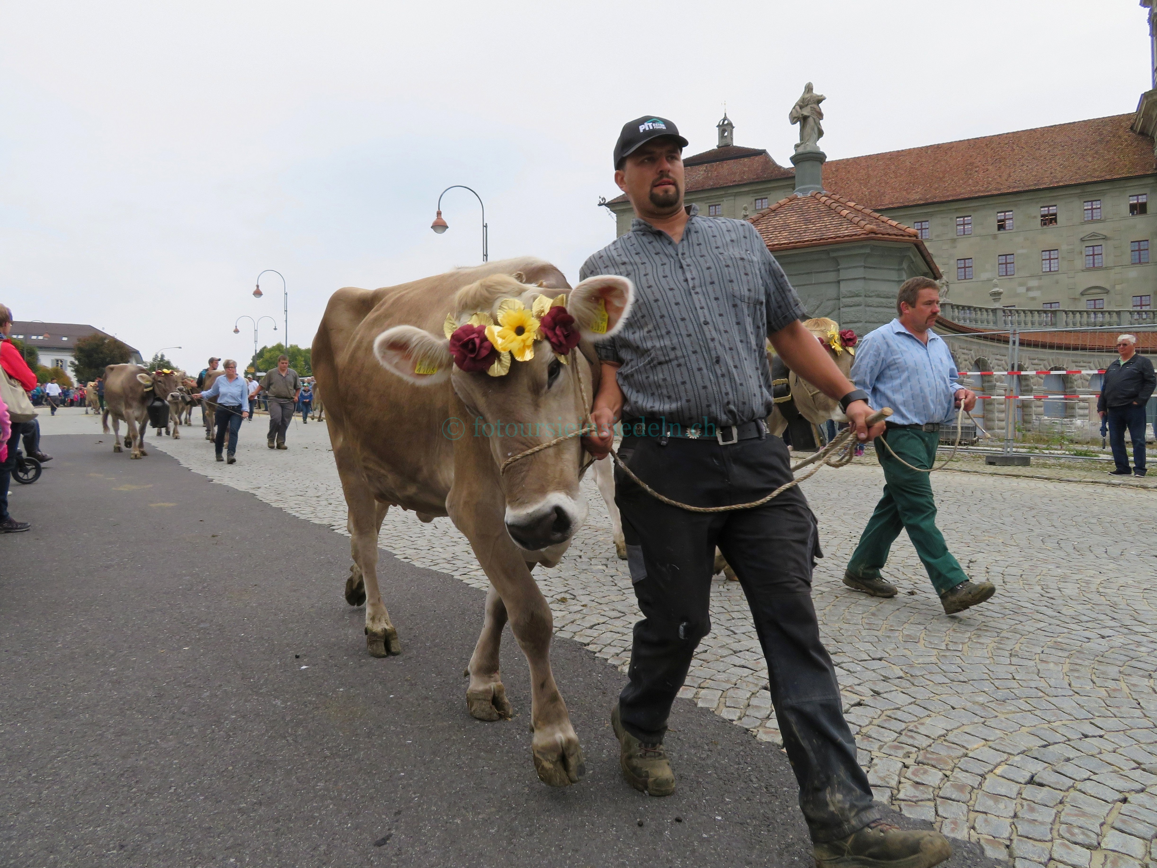 Einsiedler Viehschau 2017 Umzug 157