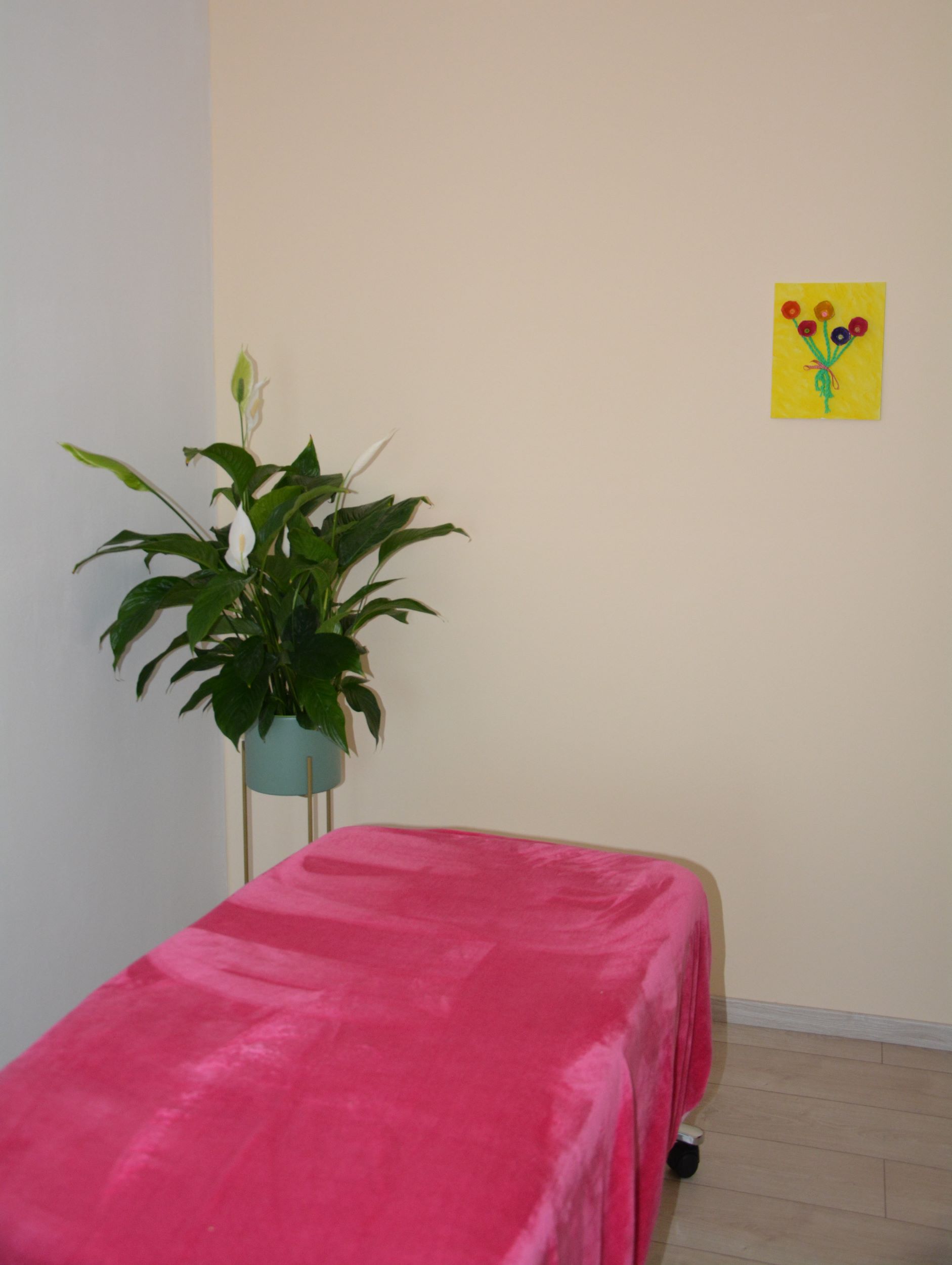 Praix Eschenau Behandlungsraum - Bett mit rosa Leintuch und grüner Pflanze