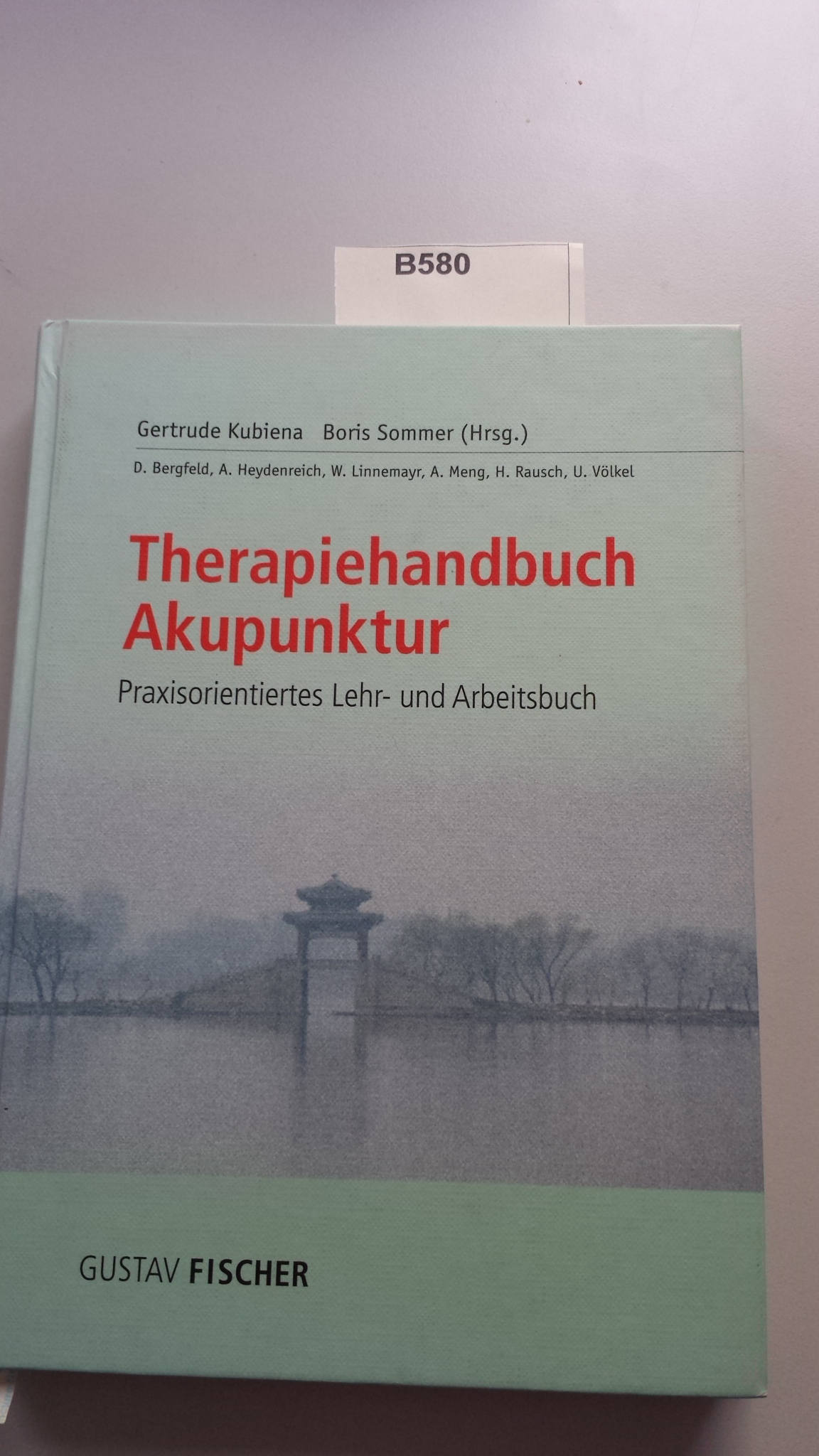 Buch: B580 Therapiehandbuch Akupunktur