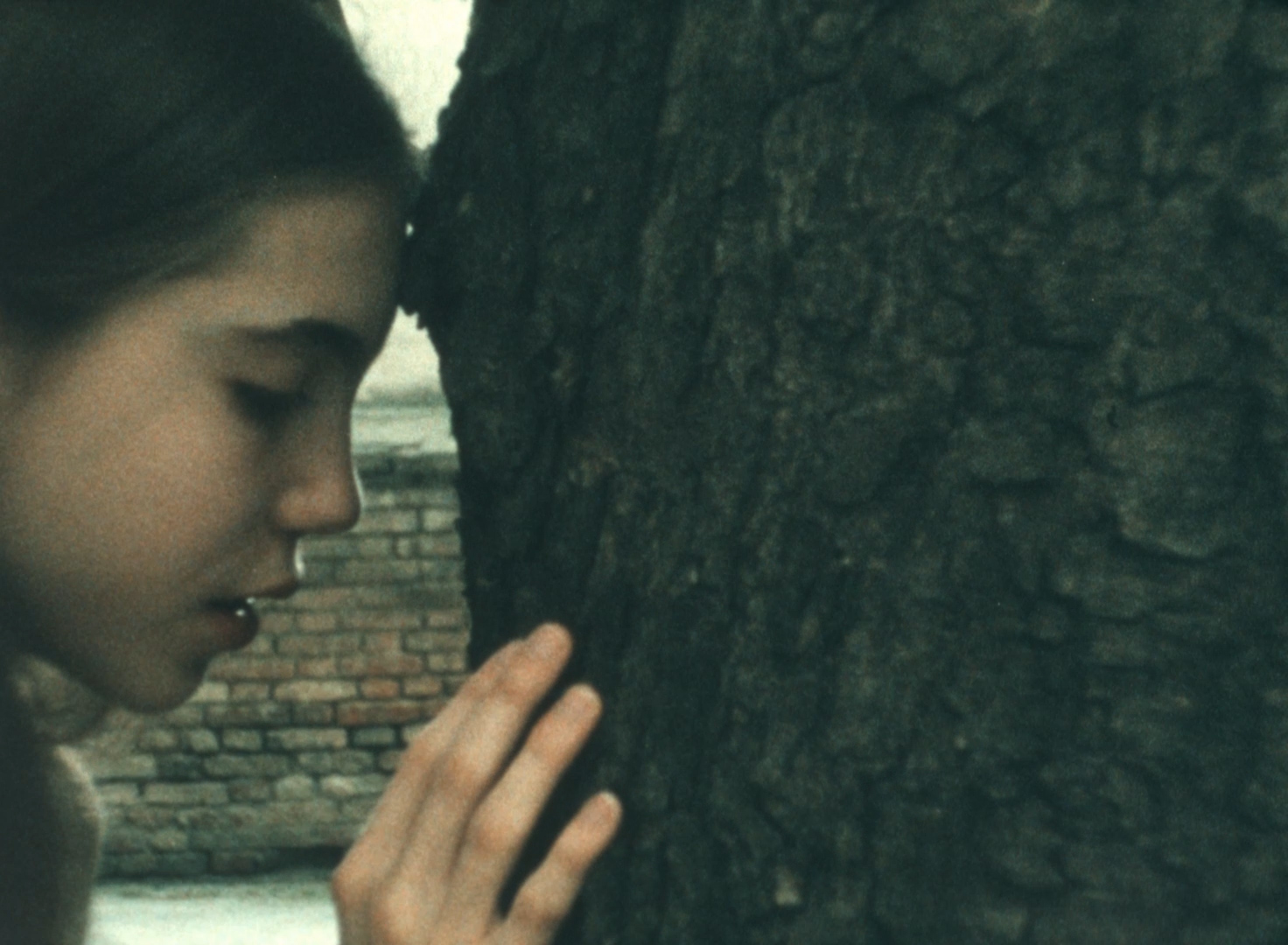 16 mm Film. Ein Mädchen vollführt rituelle Handlungen mit und rund um einen Baum.