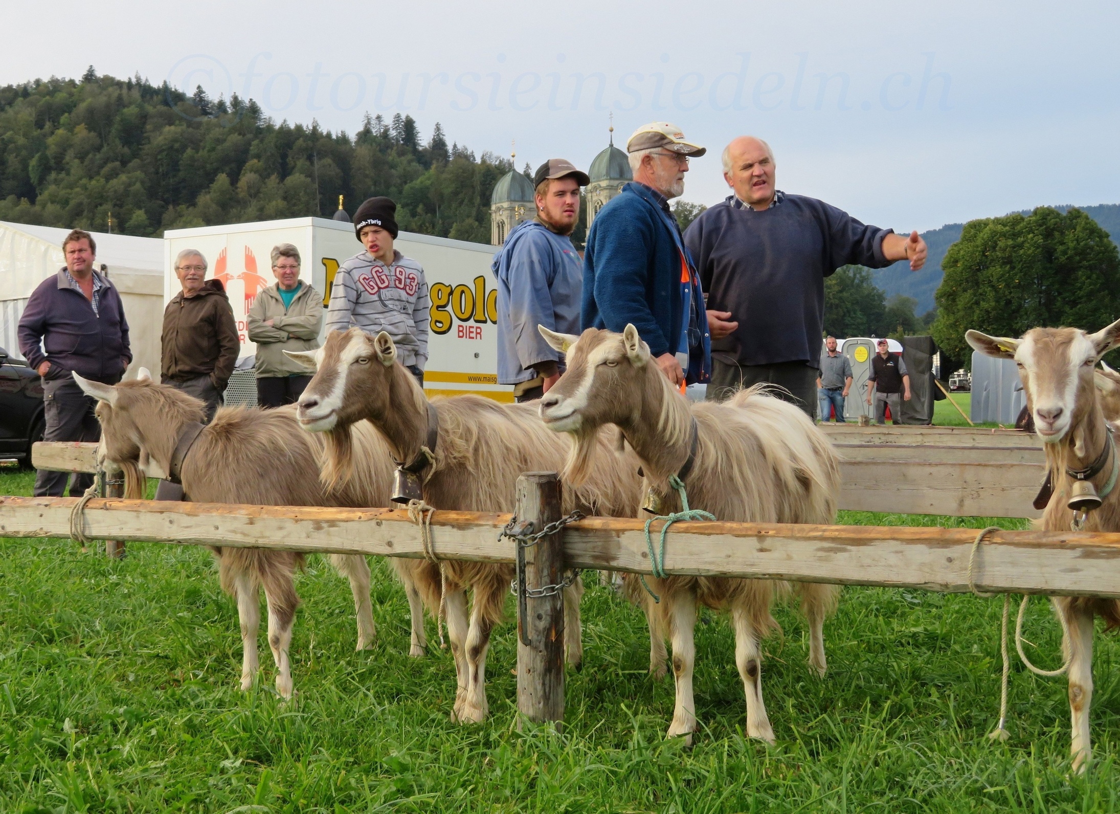 Einsiedler Viehschau 2019 168