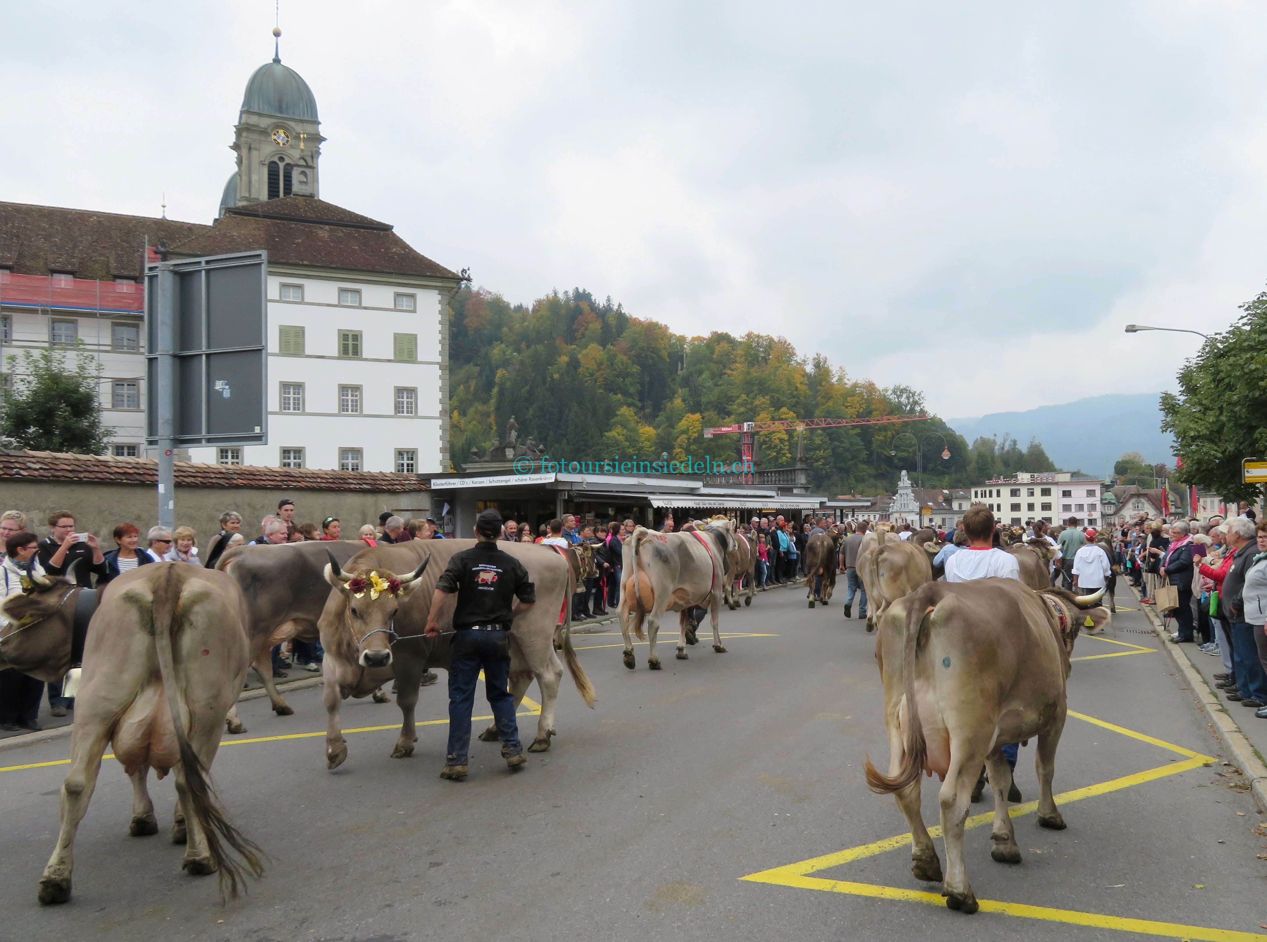 Einsiedler Viehschau 2017 Umzug 142