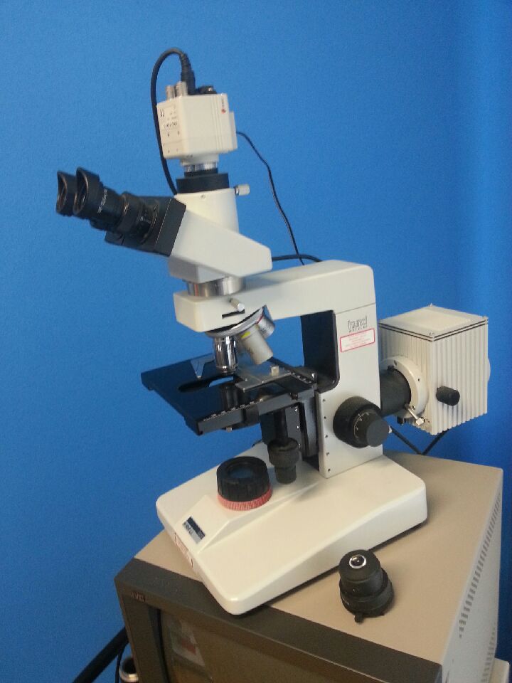Dunkelfeld- und Hellfeldmikroskop H 600 LL, Fa. HUND, Baujahr 2001